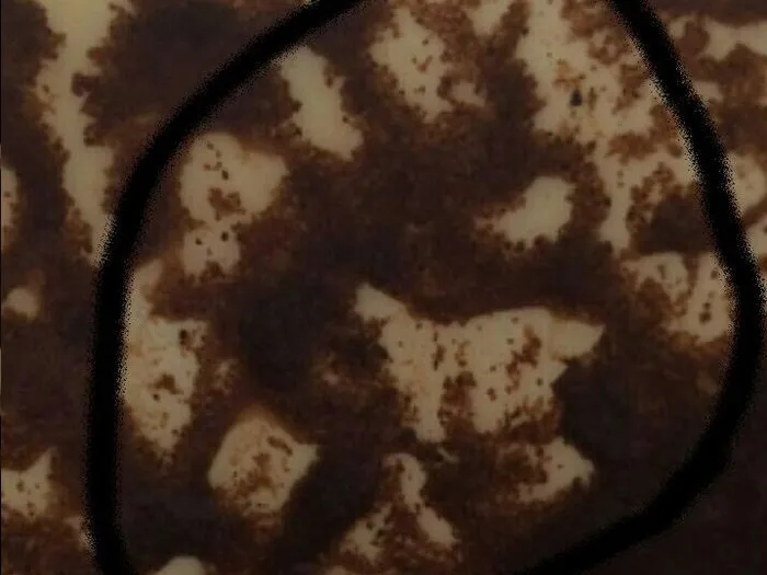 Запись на прием к гадалке в Ярославле